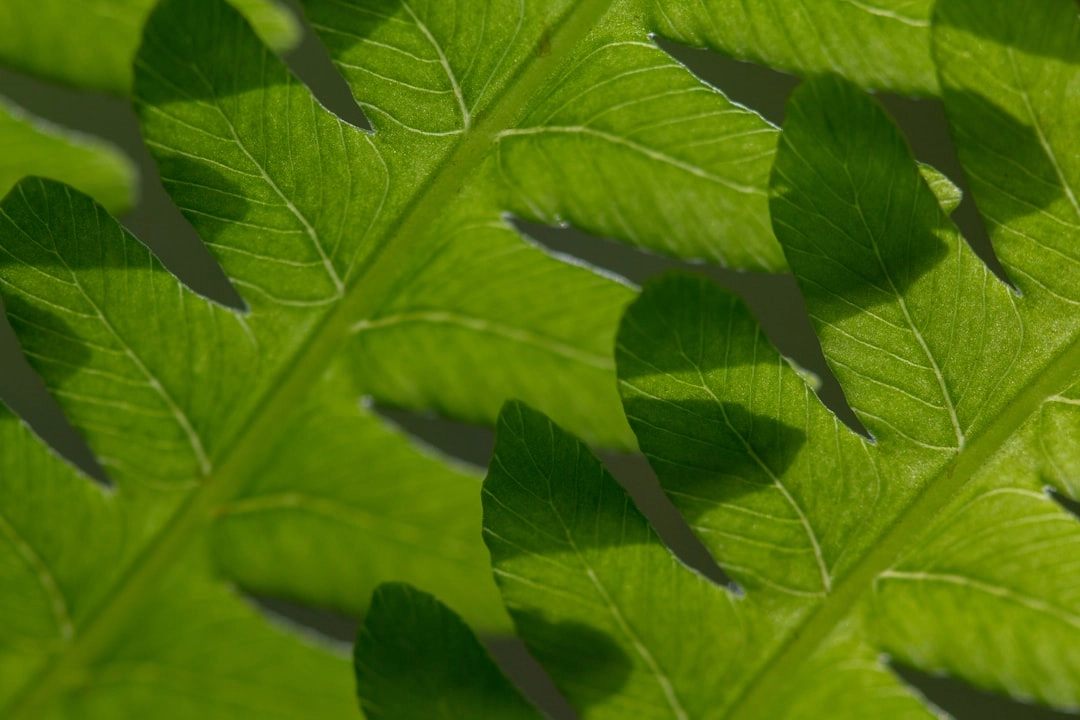 Green Approaches in Luxury Watches