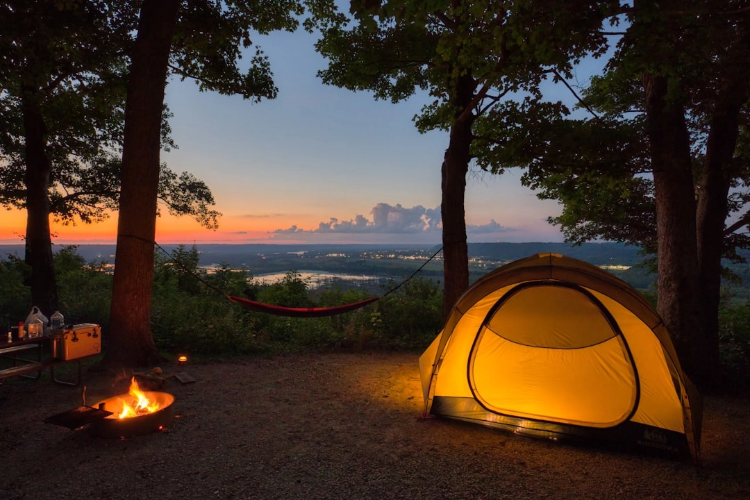 Eco-Friendly Innovations in Camping Gear