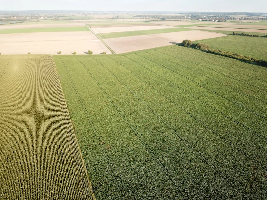 Regenerative Agriculture Techniques