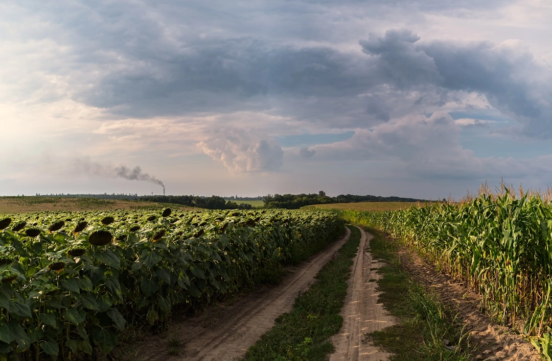 Regenerative Agriculture Techniques