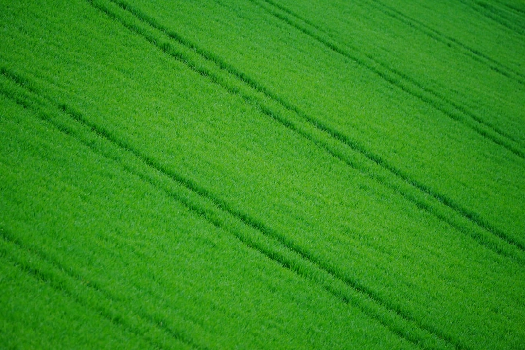 Green Practices in Bakery Operations