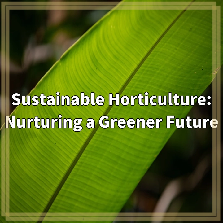 Sustainable Horticulture: Nurturing a Greener Future