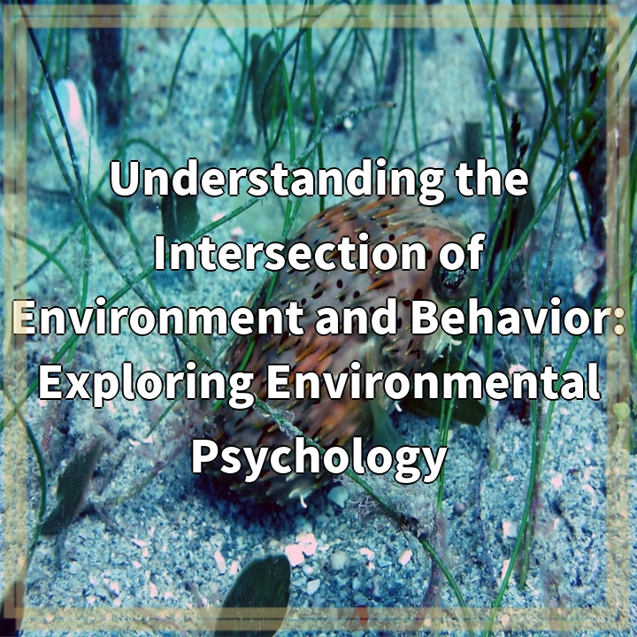 Exploring Environmental Psychology: Creating Sustainable Communities