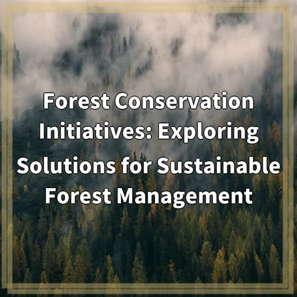 Forest Conservation Initiatives: Exploring Solutions for Sustainable Forest Management