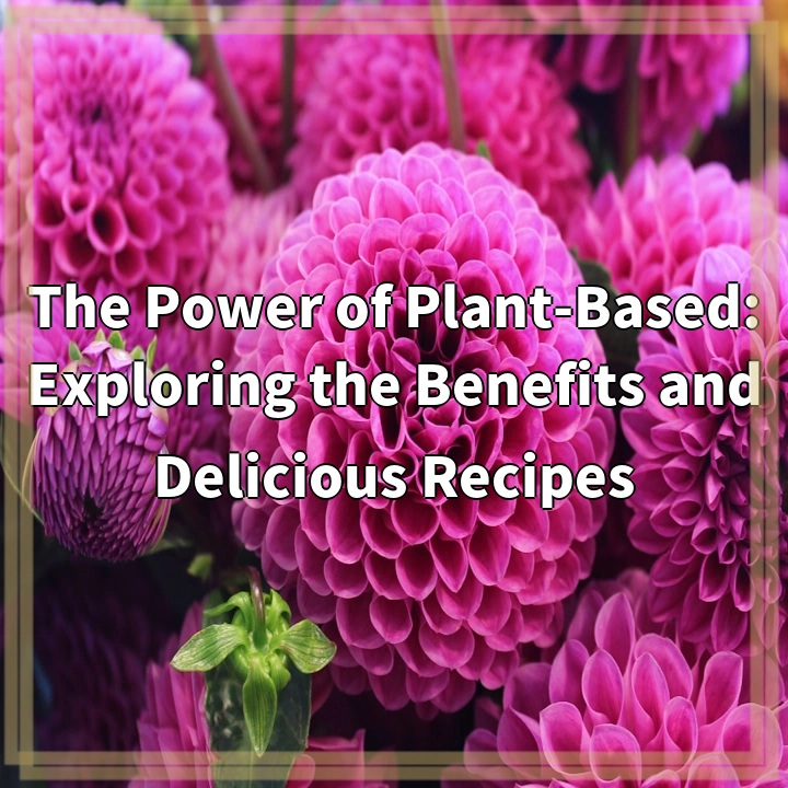 The Power of Plant-Based: Exploring the Benefits and Delicious Recipes