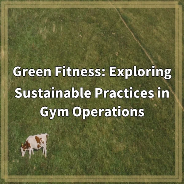 Green Fitness: Exploring Sustainable Practices in Gym Operations