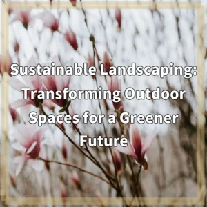 Sustainable Landscaping: Transforming Outdoor Spaces for a Greener Future