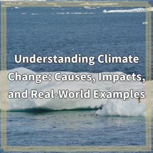 Understanding Climate Change: Causes, Impacts, and Real-World Examples