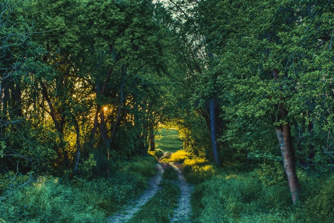 Sustainable Land Management Techniques