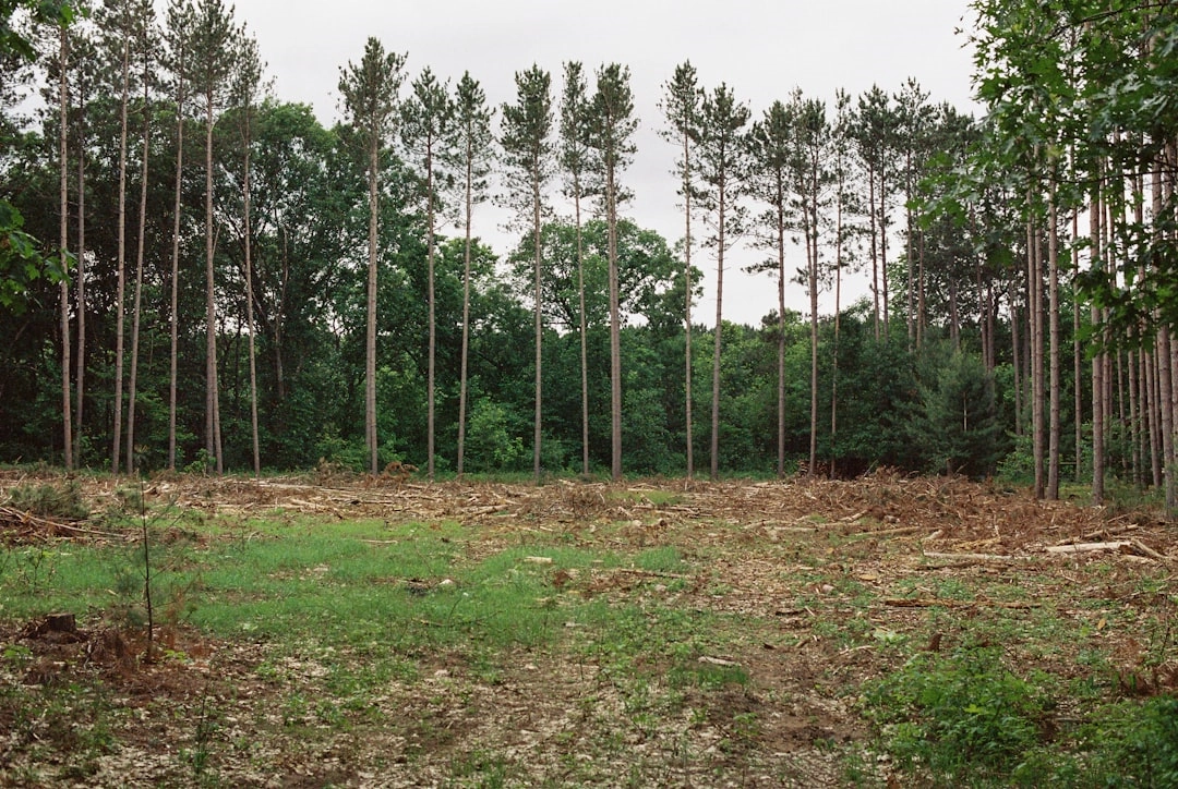 Sustainable Land Management Techniques