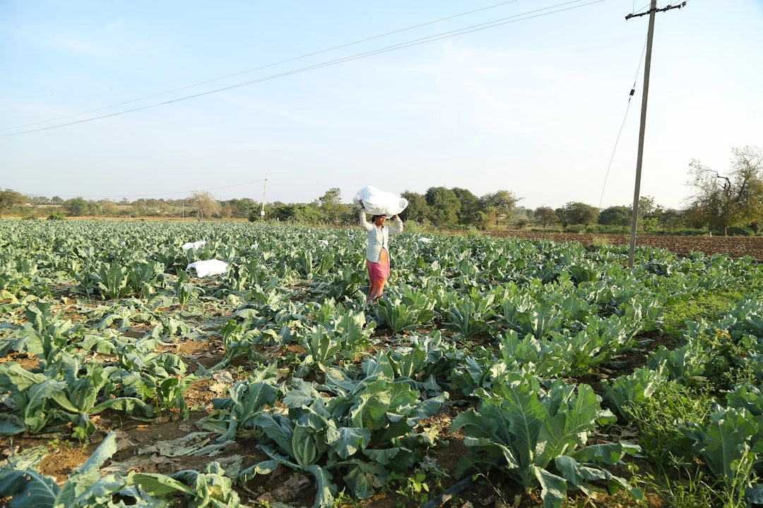 Biodynamic Farming