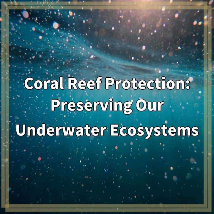 Coral Reef Protection: Preserving Our Underwater Ecosystems