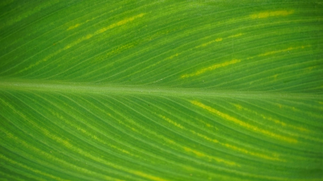 Green Protocols for Public Swimming Pools