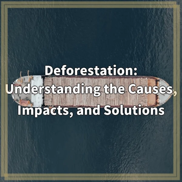 Deforestation: Understanding the Causes, Impacts, and Solutions