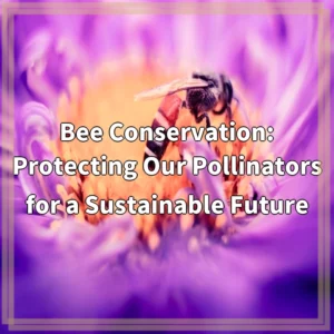 Bee Conservation: Protecting Our Pollinators for a Sustainable Future