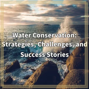 Water Conservation: Strategies, Challenges, and Success Stories